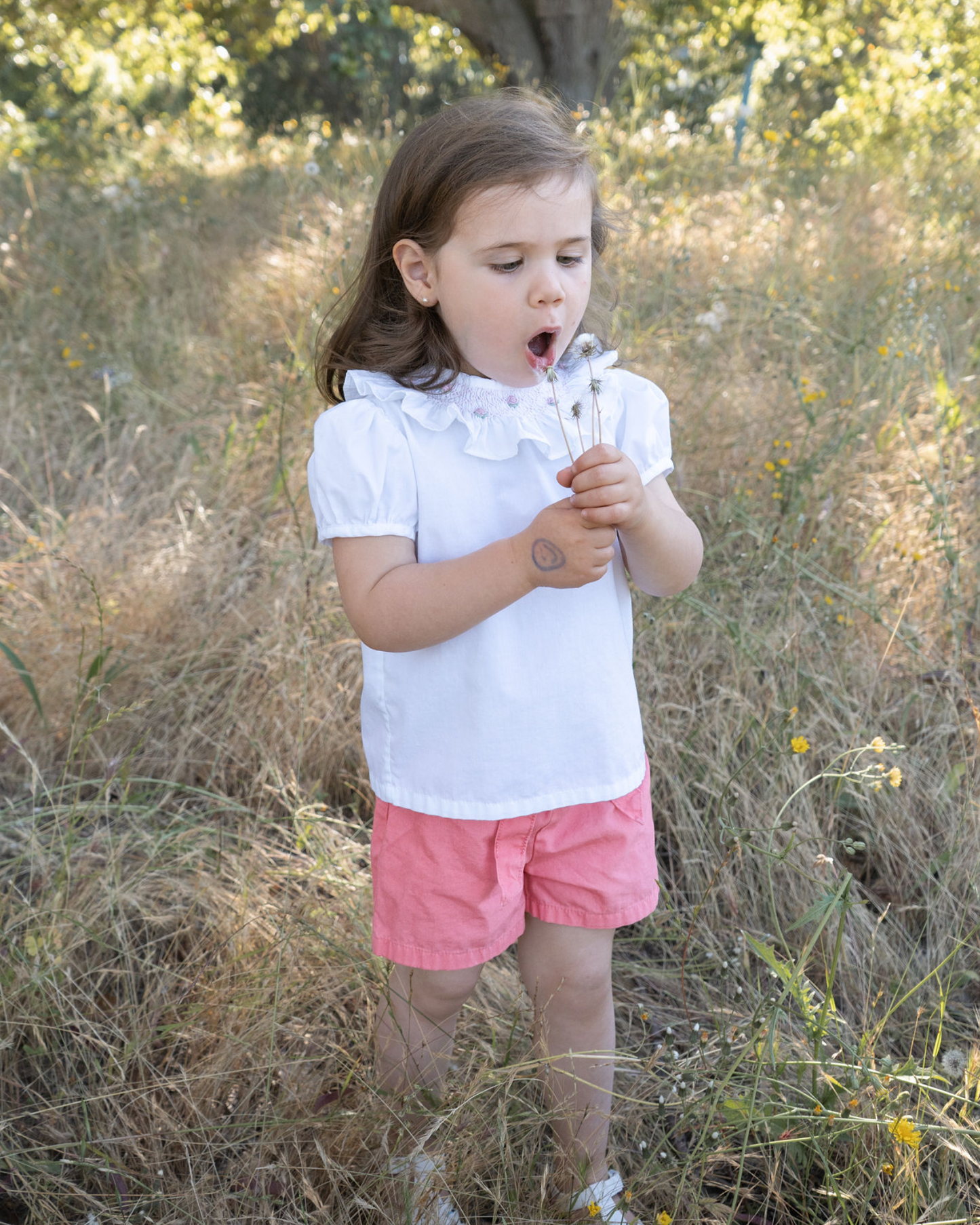Ana Short Sleeve Blouse
